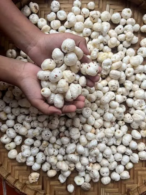 Makhana / Fox Nut — photograph 3