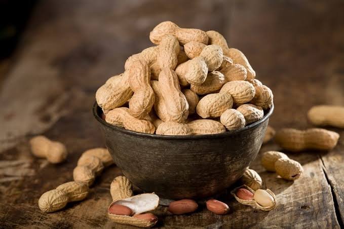 Peanut / Groundnut — photograph 1